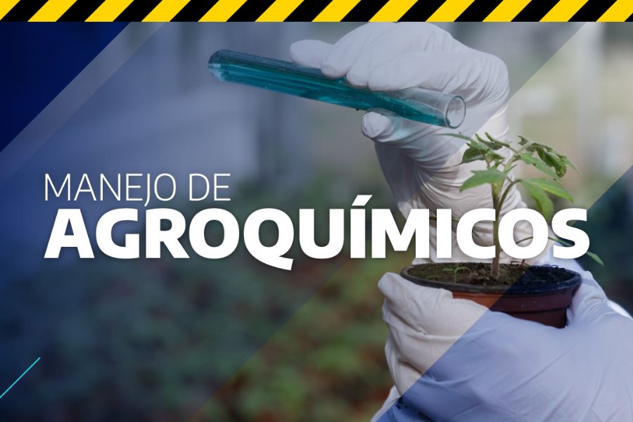 EN VIDEO: MANEJO DE AGROQUÍMICOS