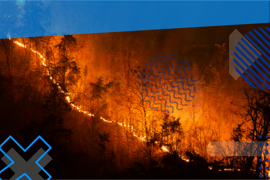 BRIGADISTAS CONTRA LOS INCENDIOS EN LA PATAGONIA